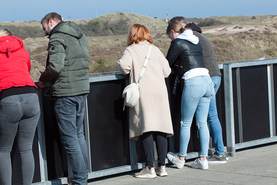 EOS 70D__2022_04_16_00054909